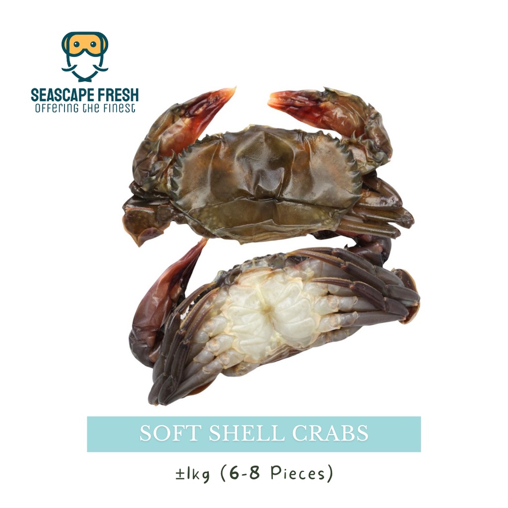 Seafoodsoft Shell Crab Size L Kg Frozen Shopee Singapore