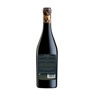 Domini Veneti Appassimento Rosso Veneto IGT Passito Italy Red Wine 2021