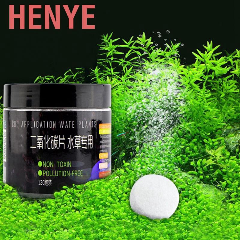 Henye Co Tablet Carbon Dioxide Diffuser For Water Plant Grass Fish