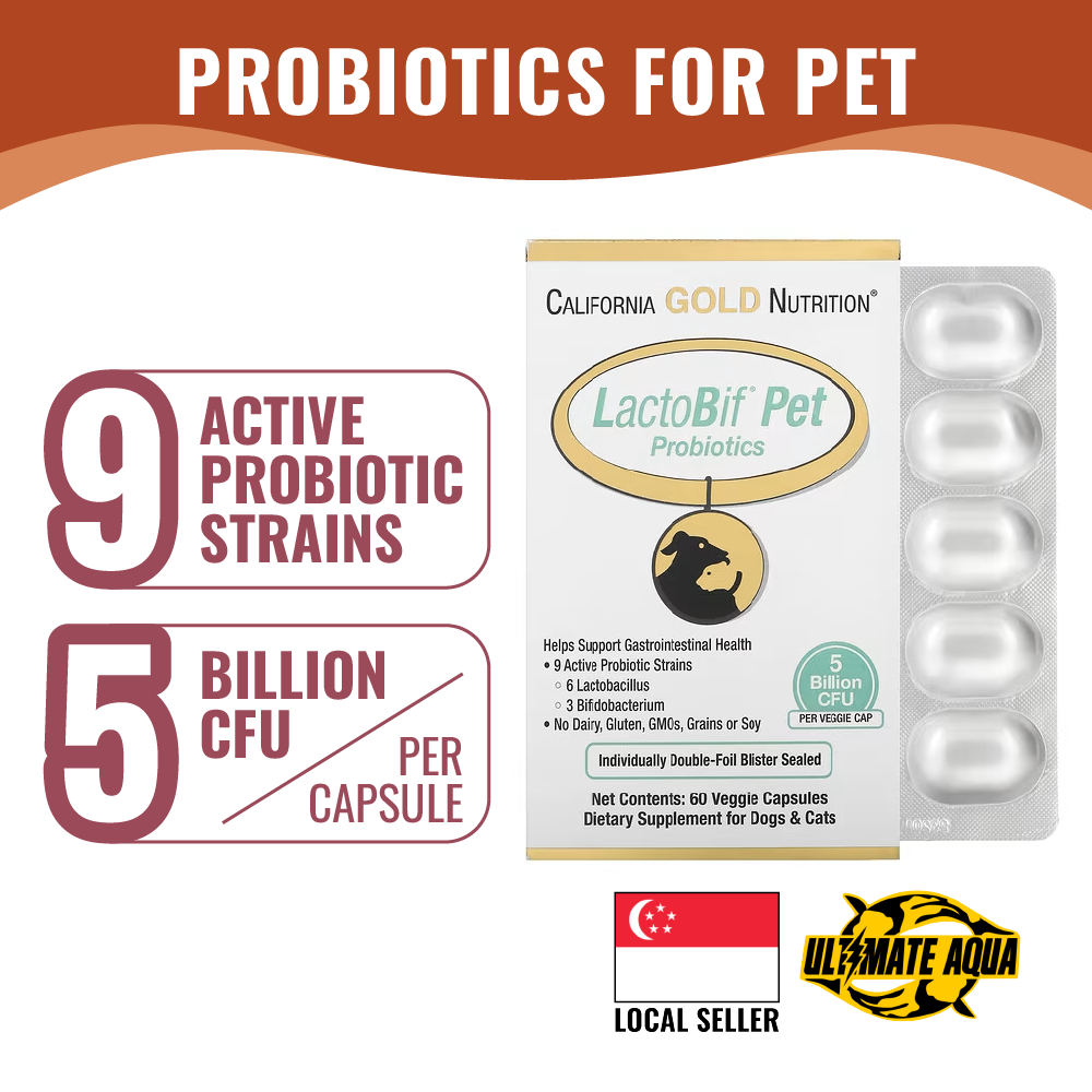 California Gold Nutrition LactoBif Pet Probiotics 5 Billion CFU 60