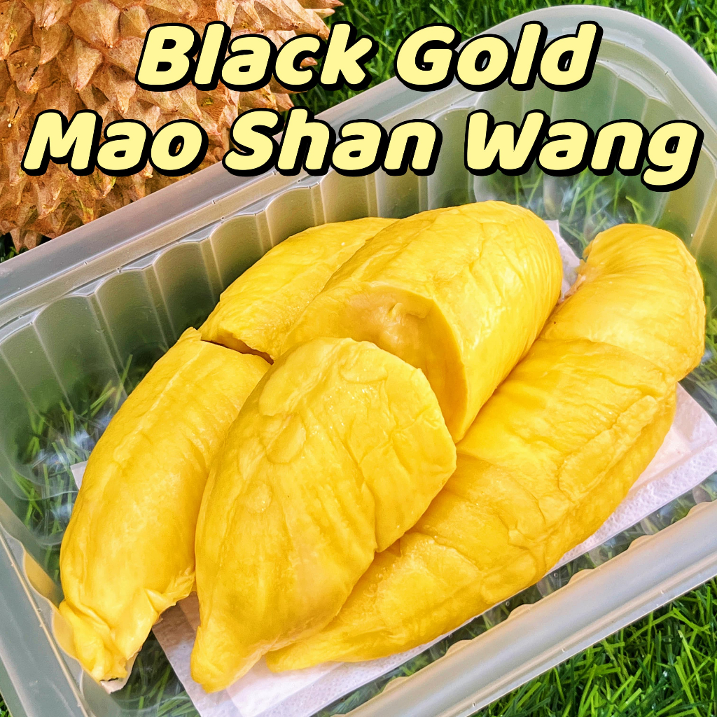 The Premium Black Gold Musang King G Box Shopee Singapore