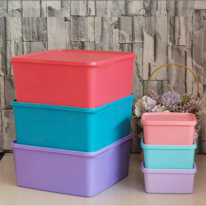 Tupperware Snack Stack L Shopee Singapore