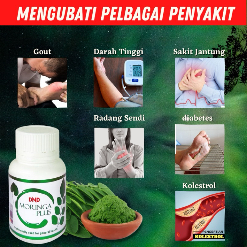 Dnd Moringa Plus Vege Capsule Shopee Singapore