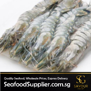 Whole Tiger Prawns Kg Super Xl Savour Gourmet Shopee