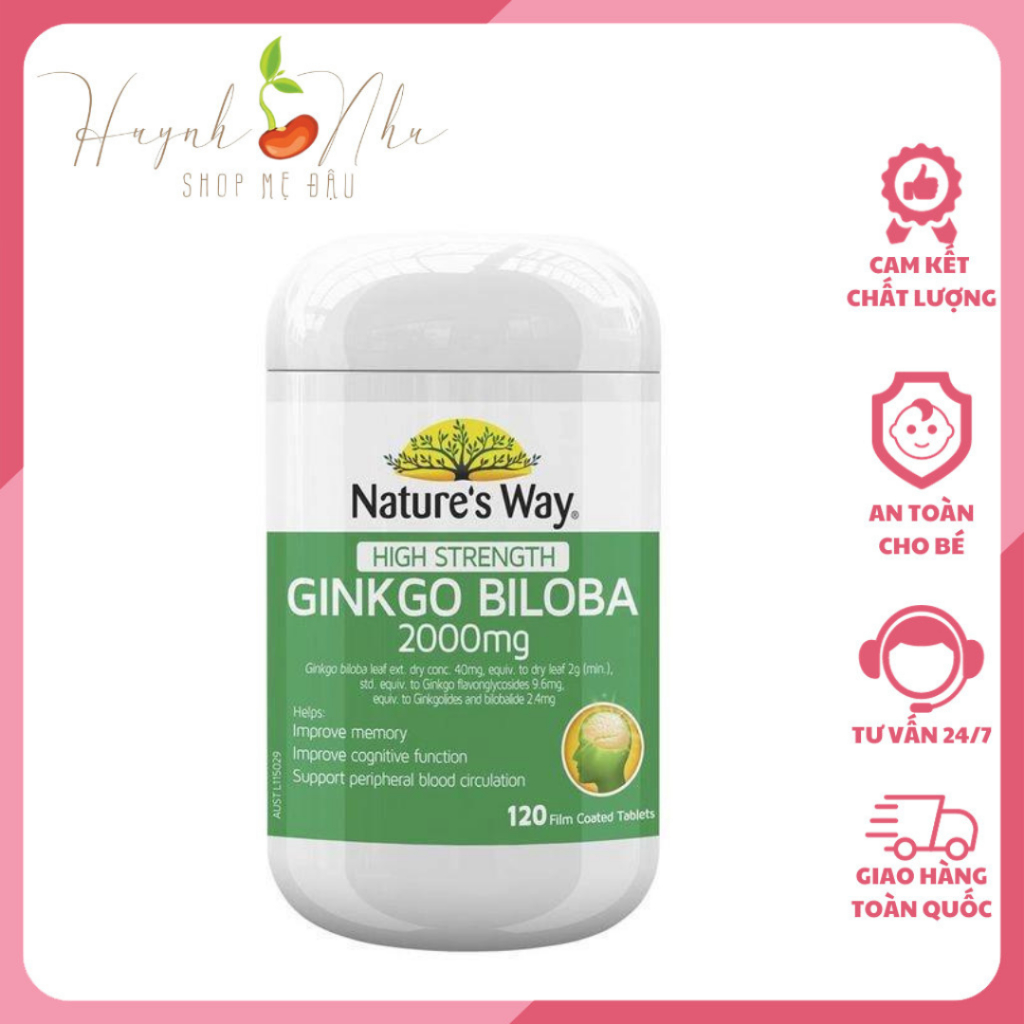 Ginko Biloba Nature S Way Brain Supplement Relieves Dizziness Headache