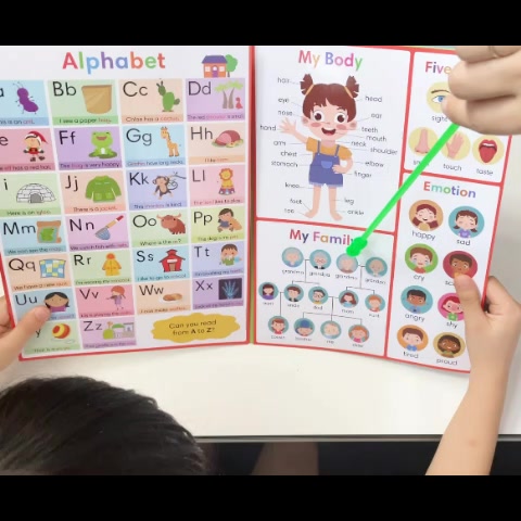My First Learning Chart English Words Educational Poster Worksheet ...