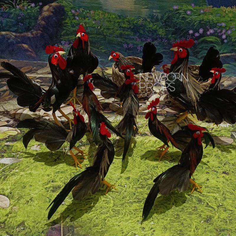 Miniature Rooster S size (per Tail) | Shopee Singapore