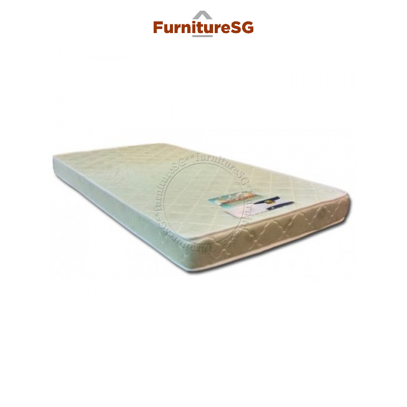 Dunlopillo Classic Seagull Foam Mattress (Single/Super Single) Shopee