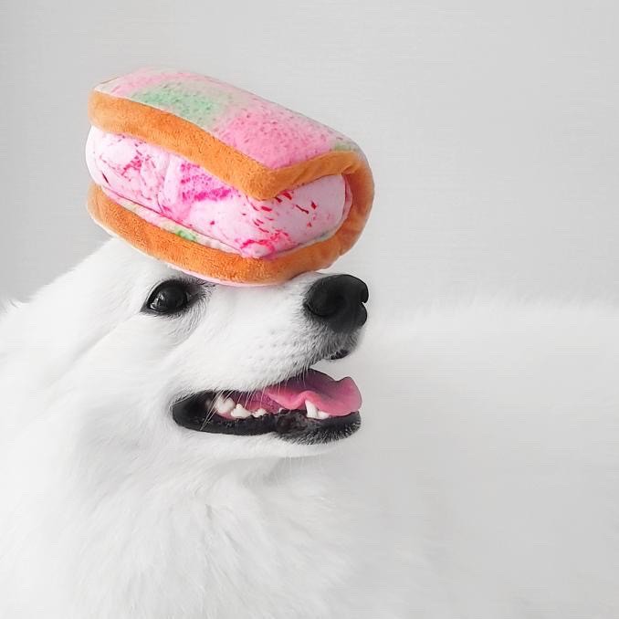 Singapore Ice Cream Sandwich Squeaker Chew Toy for Pet Dogs