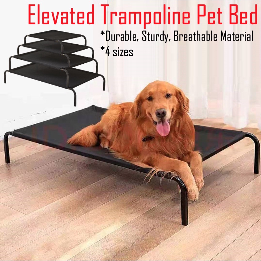 Elevated pet bed xl sale