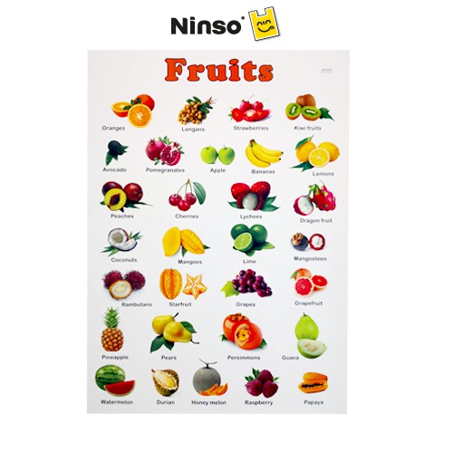 Ninso Fruit Wall Chart 20Inch X 28Inch | Shopee Singapore