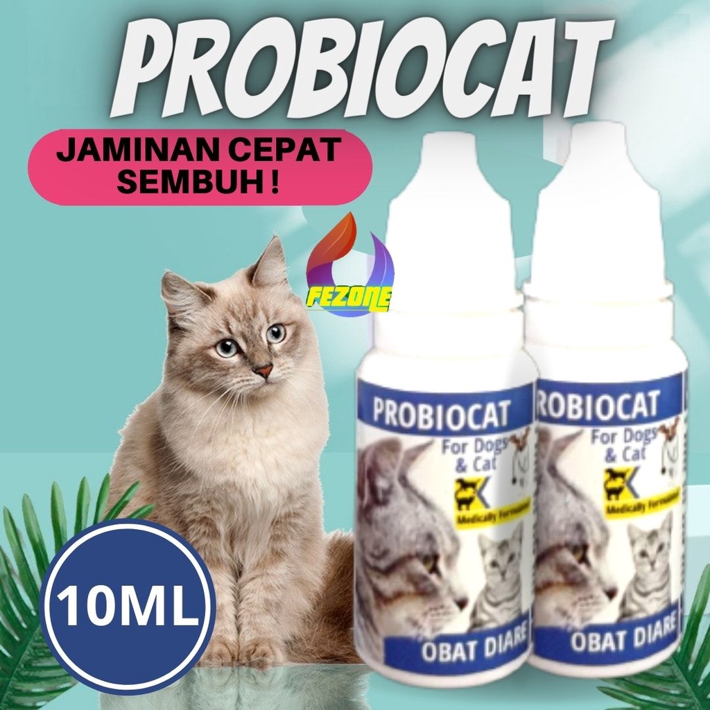 Medicine for kittens with diarrhea hotsell