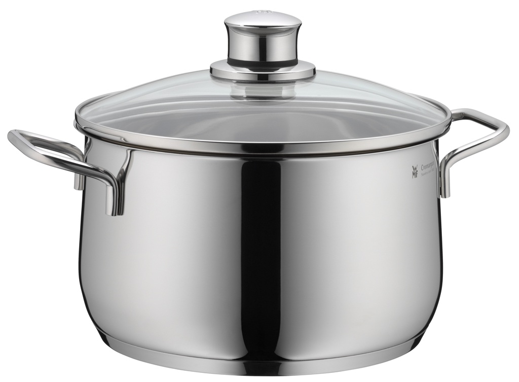 S1 未使用　WMF Diadem Plus 両手鍋 直径20ｃｍ　ステンレス DIADEM PLUS HIGH CASSEROLE WITH LID 20CM (0734216040) | TANGS