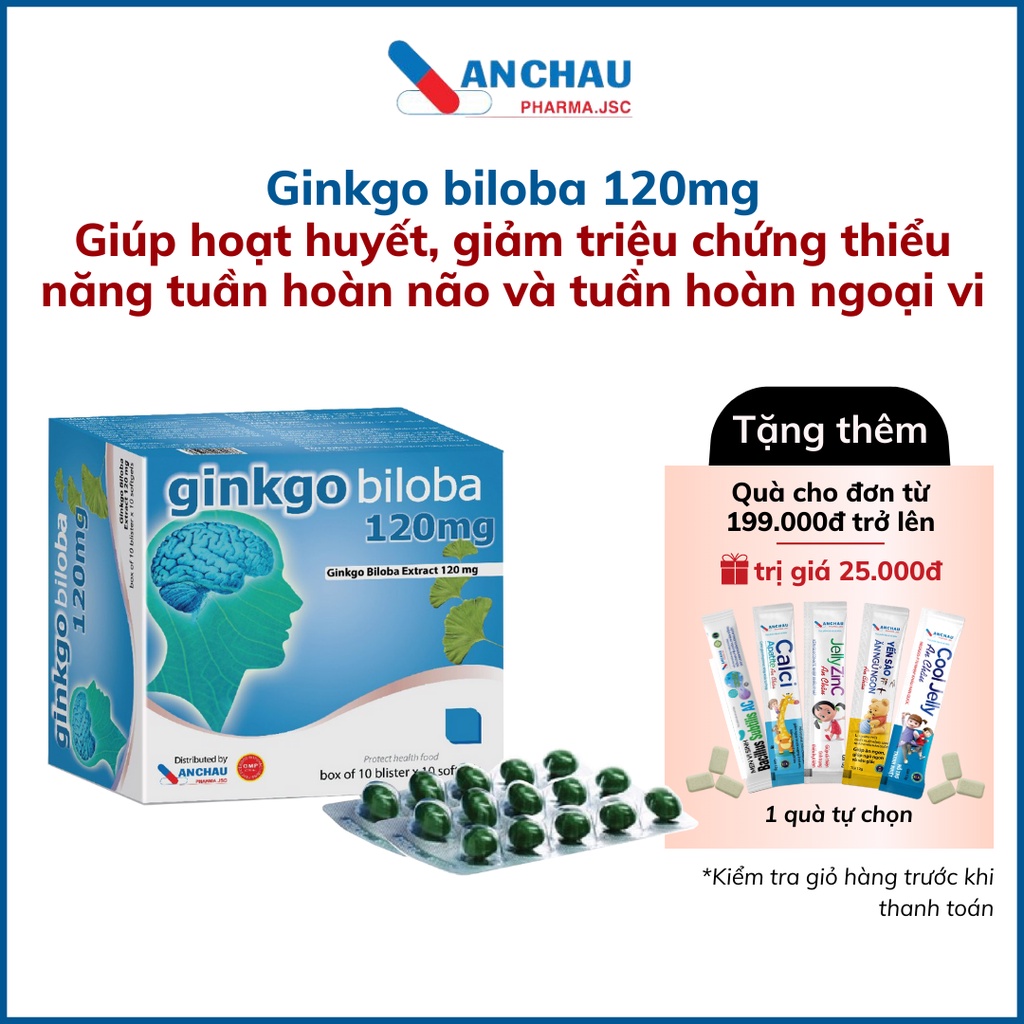 Ginkgo BILOBA 120MG Brain Supplement Vitamin 3B B1 B6 B12 Increases