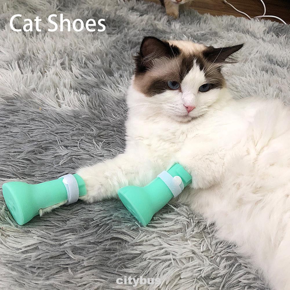 Cat booties on sale