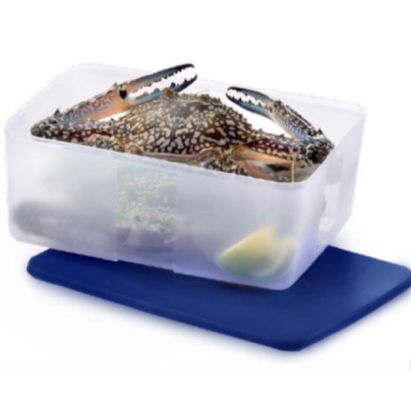 Tupperware FreezerMate Junior Set (FULL SET) | Shopee Singapore