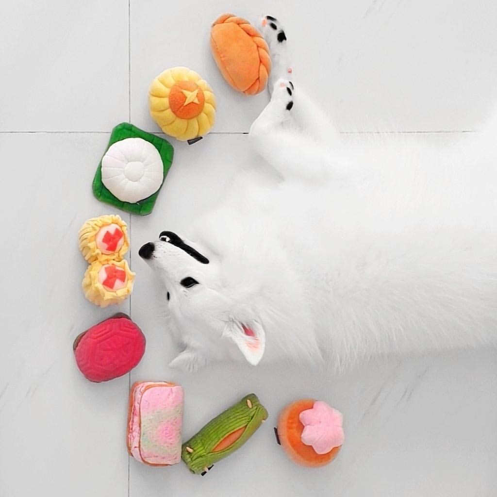 ?Singapore Kueh Squeaker Chew Toys for Pet Dogs