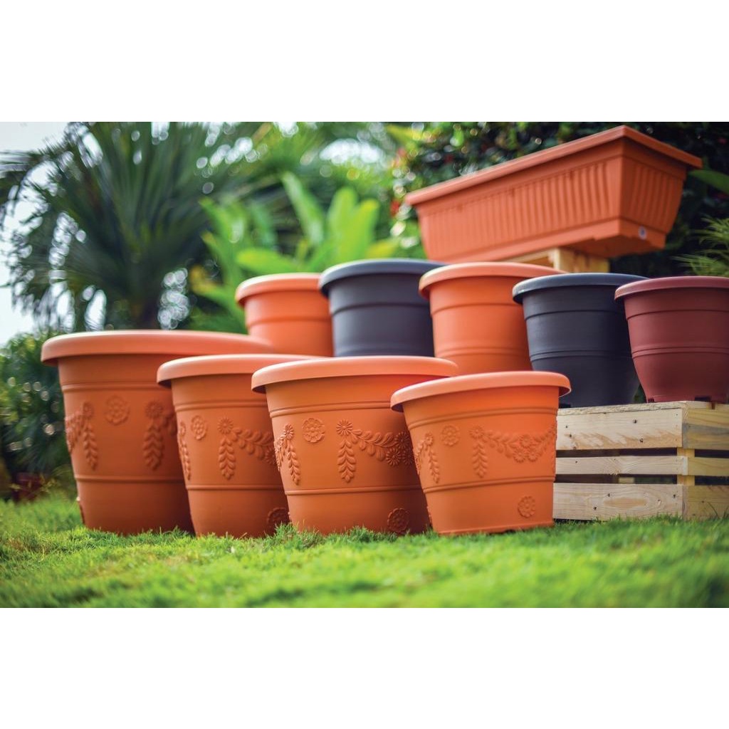 BABA Flower Pot (Cotta) | Shopee Singapore