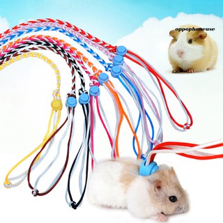 Hamster lead hot sale