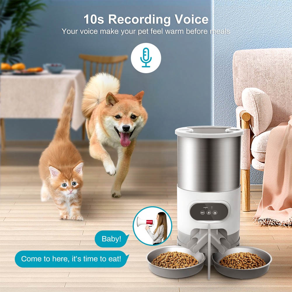 Petware automatic outlet pet feeder