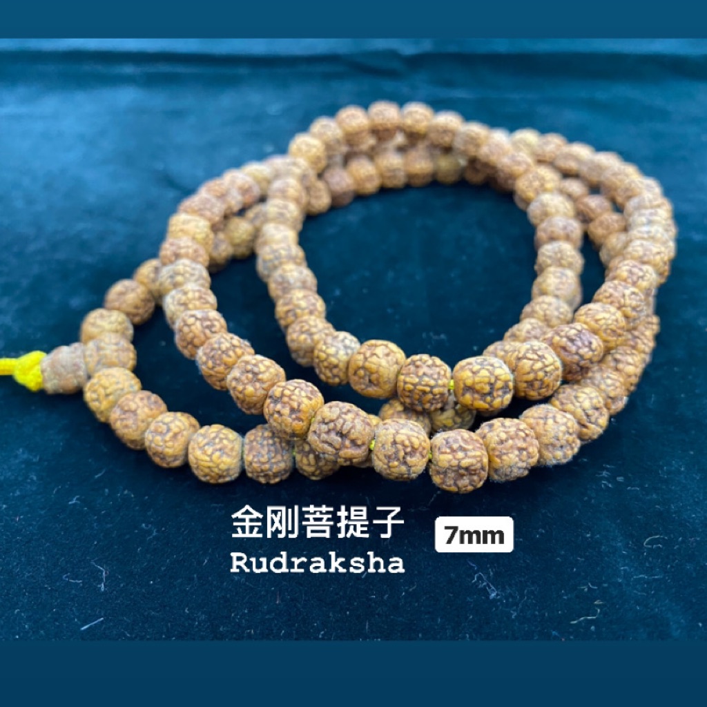 Fengshui Nepal 金刚菩提子Rudraksha | Shopee Singapore