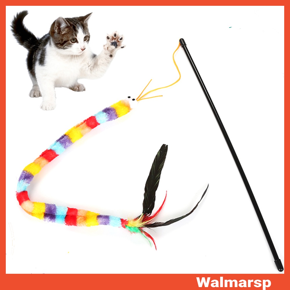 cat teaser - Prices and Deals - Jul 2026 | Shopee Singapore