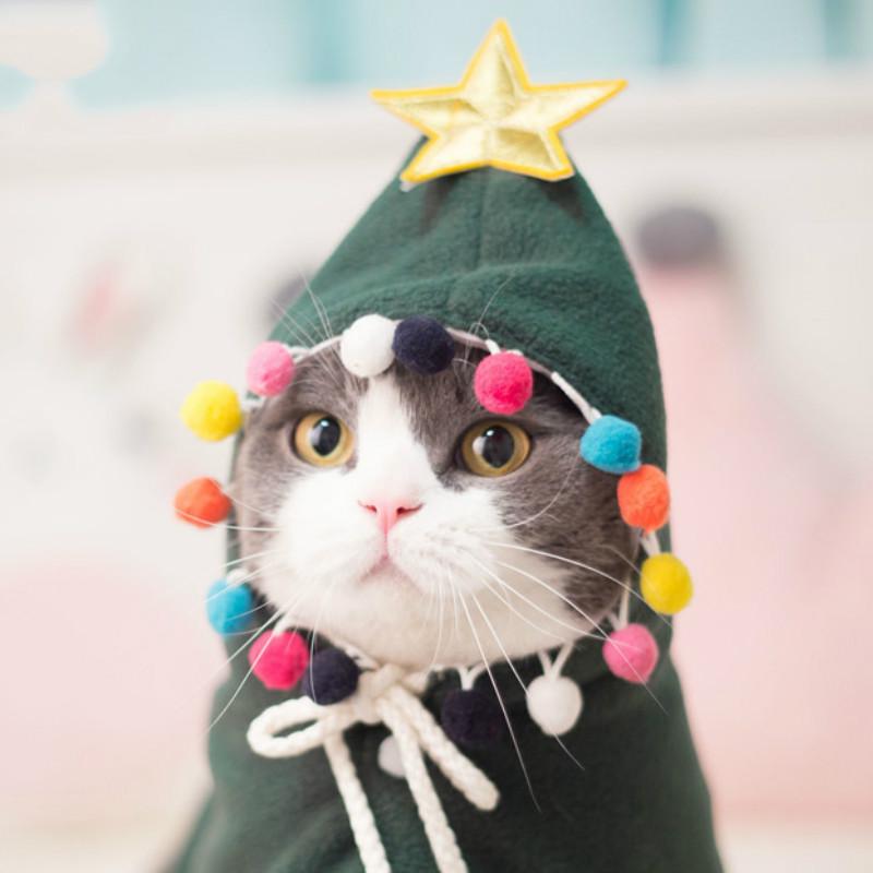 Christmas cat dress best sale