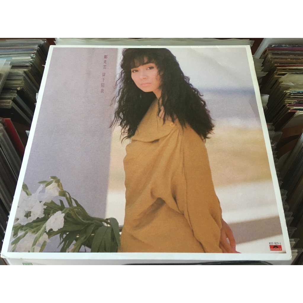 Cally Kwong / 鄺美雲- 留下陪我- Vinyl LP (Out Of Print) Pre-Owned | Shopee  Singapore