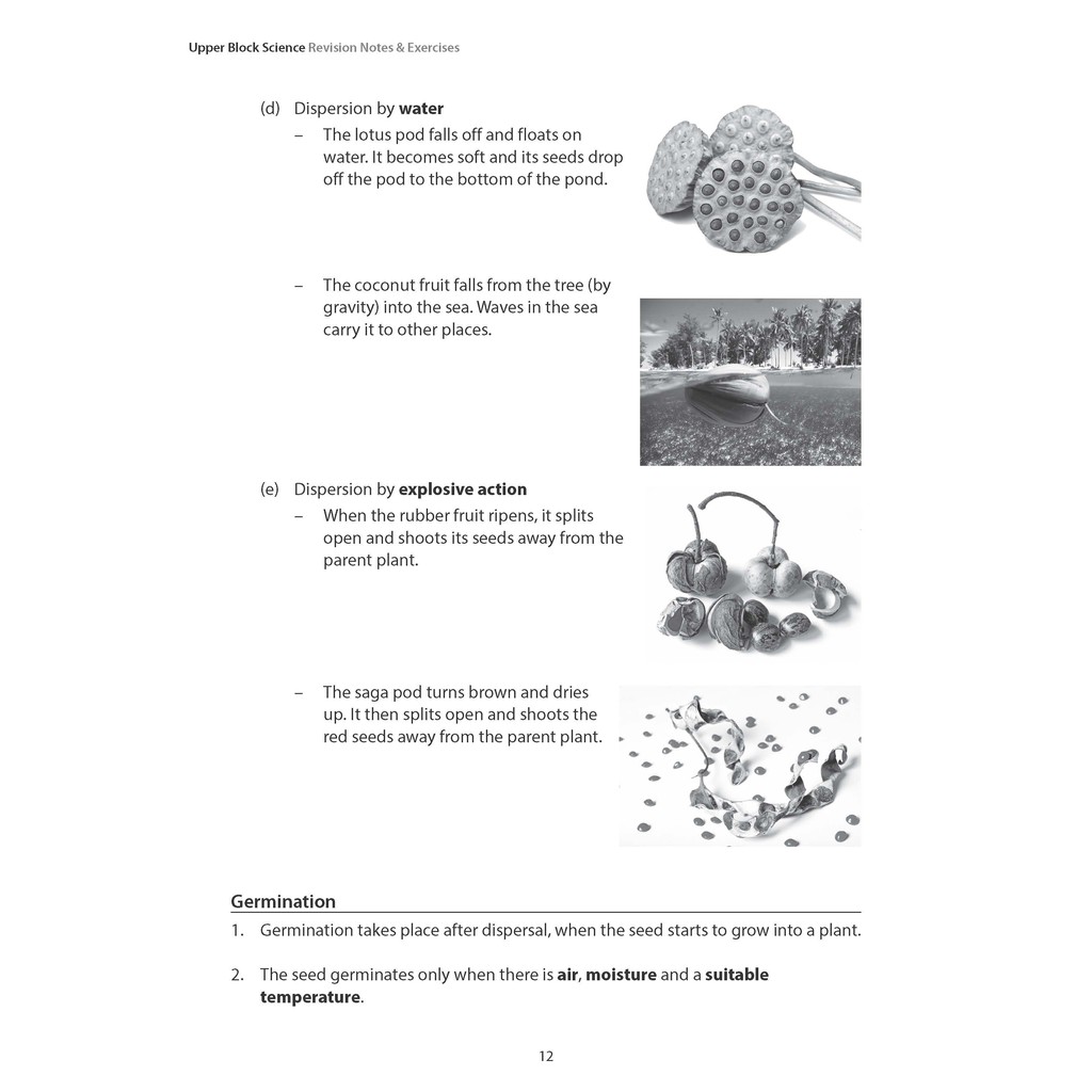 Upper Block Primary Science Revision Notes and Exercises/Singapore ...