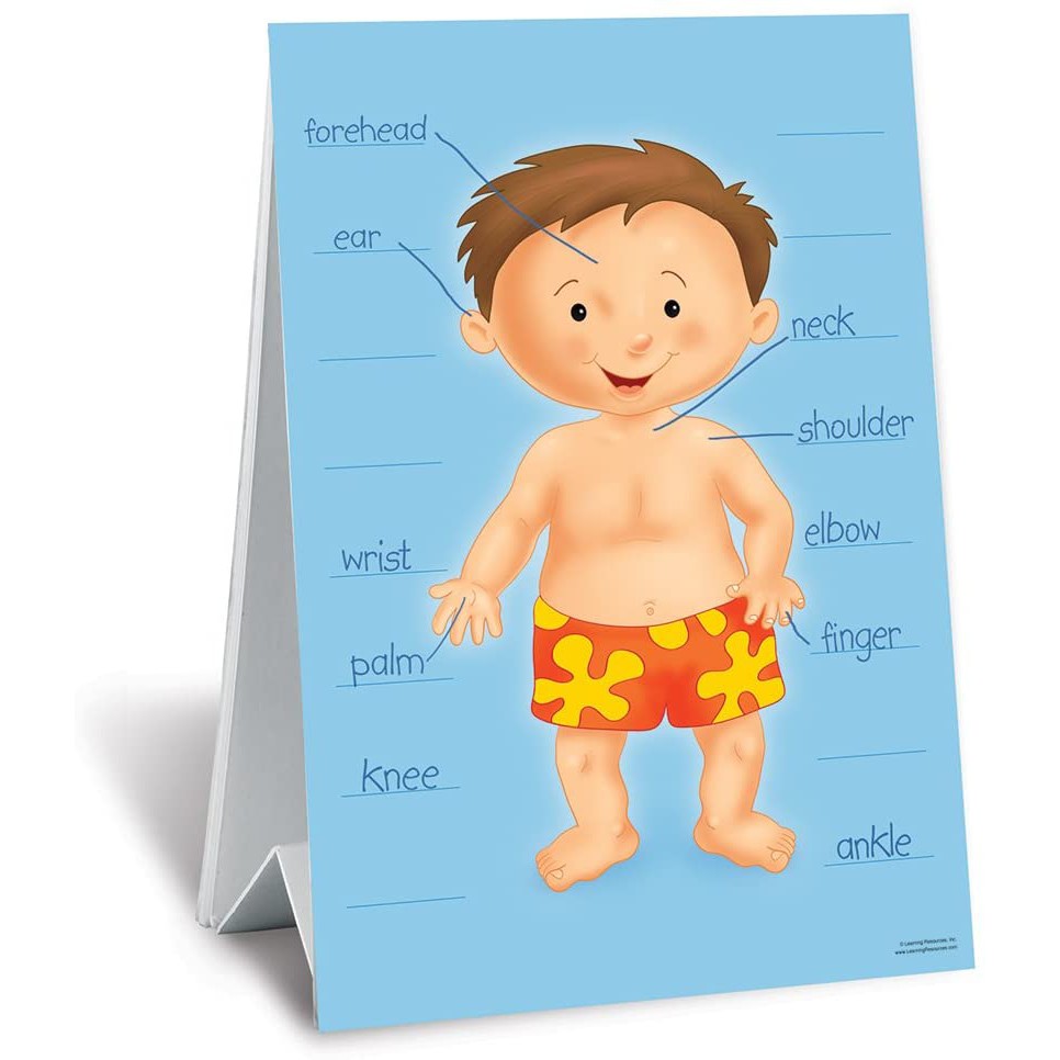 Learning Resources Where Is Howie's Owie? - Gioco Educativo Per Imparare Le Parti Del Corpo In Inglese
