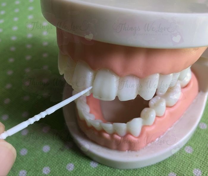 [SG] [FREE🚚] Interdental Fish Bone Toothpicks In Box Fishbone Toothpick ...