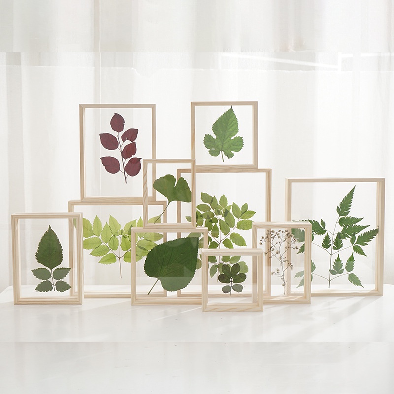 NEW? DIY Photo Frame Creative double-sided Clear Acrylic plant specimen Student Learning Education photo frame 创意植物标本 相框