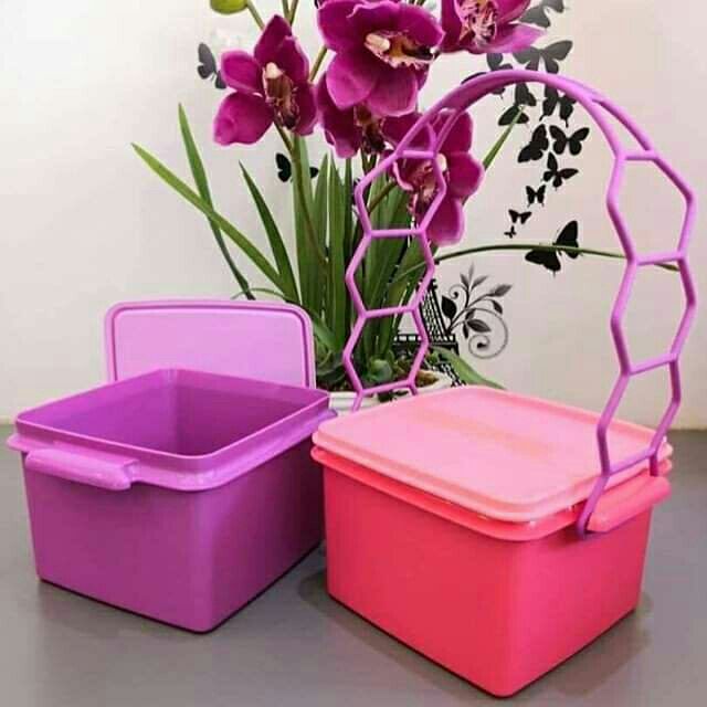 Tupperware double deep with cariolier | Shopee Singapore