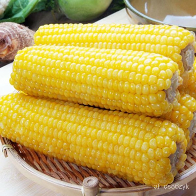 Waxy Corn Seeds Yellow Sticky Waxy Corn Seed Thin Skin Glutinous Sweet ...