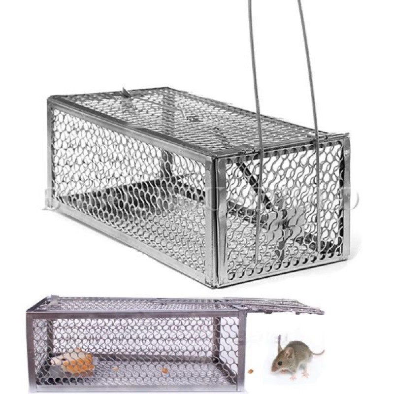 Mouse Trap Cage (Large ) | Shopee Singapore