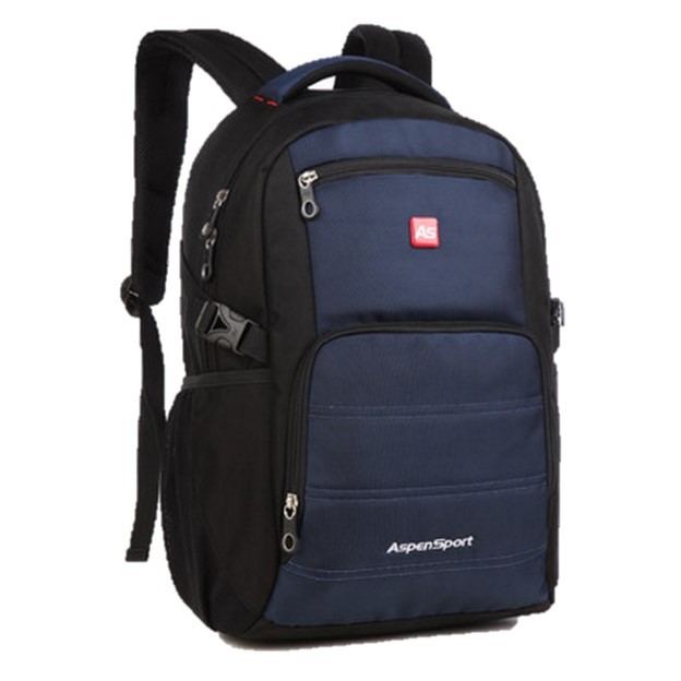 Aspensport 2024 laptop backpack