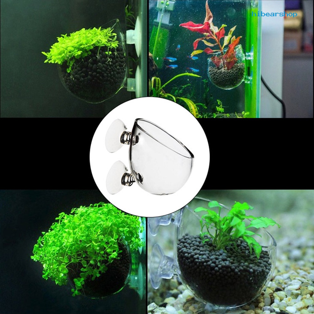Study Cute Pet Pavilion Fish Tank Mini Crystal Glass Pot Water Potted ...