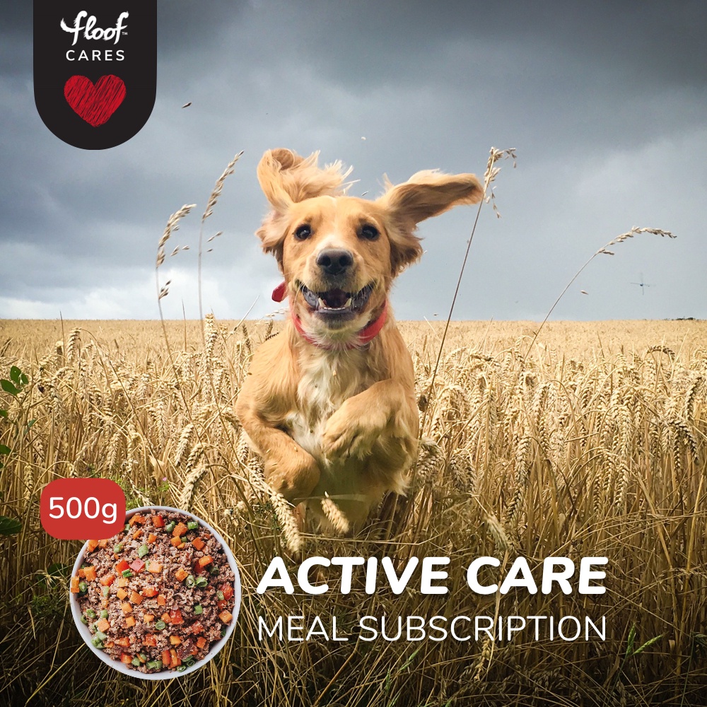 FLooF ACTIVE 500g Meal Subscription Freshly Cooked Dog Meals