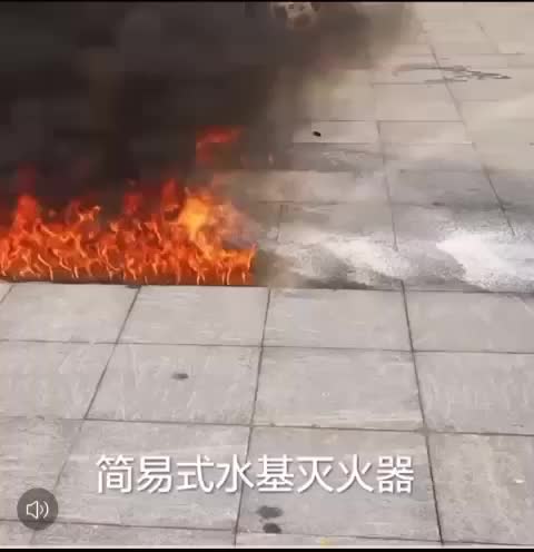 [SG Stock] 550ml Sharpots Fire Extinguisher Water-Based | Shopee Singapore