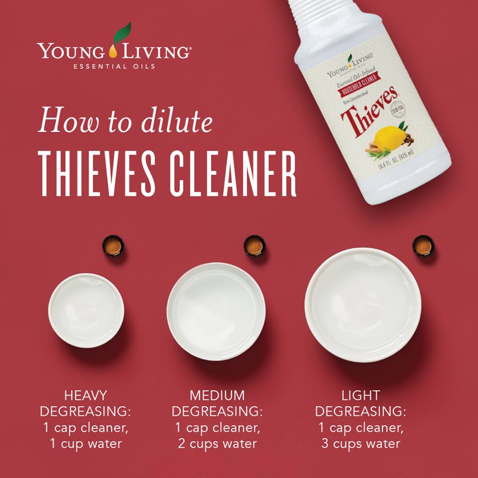 2 NEW THIEVES store HOUSEHOLD CLEANERS