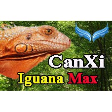 Photo inspiration: Visual Reference: Calcium Nutrition For Iguana Calcium Supplement For Iguana 1 Bag