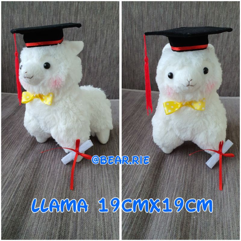 Graduation sale llama plush