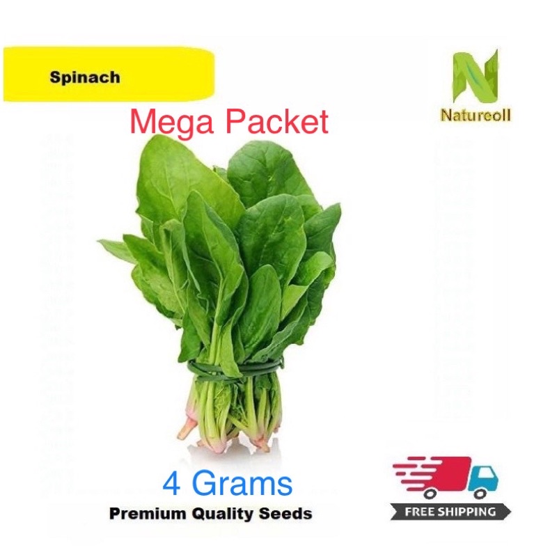 Mega Packet Spinach Seeds 4 Grams (Free Shipment by Choosing Normal