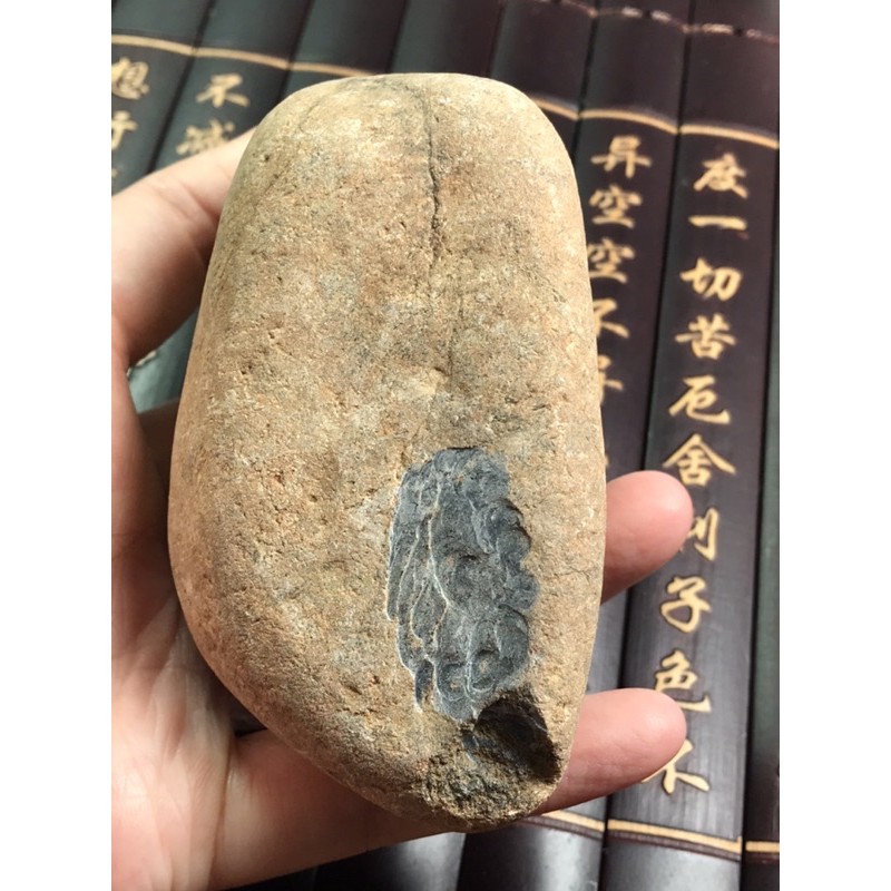 Natural Burmese Jadeite Rough Stone Damacan | Shopee Singapore