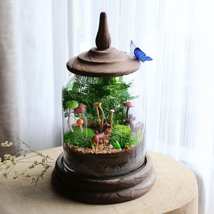 [ Premium PAGODA Glass Bottle ] Terrarium Glass Jar / Terrarium Vessels