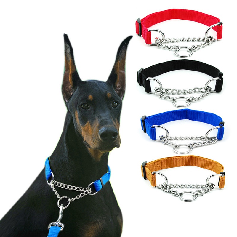 Martingale collar hot sale safe