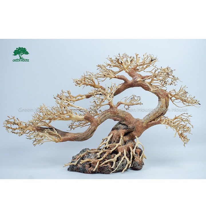 Stone Bonsai Driftwood Aquatic Driftwood Used To Decorate Aquariums, Aquariums, Offices, Homes