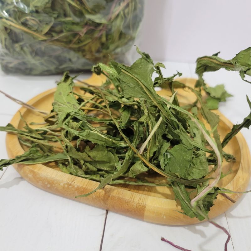 Dandelion leaves clearance guinea pigs