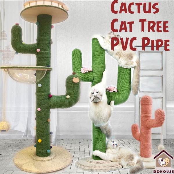 Cactus cat scratcher diy best sale