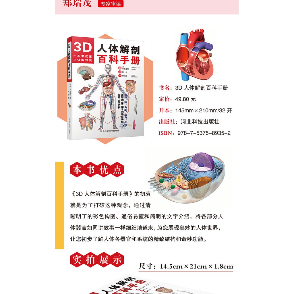 かわいい！ 人体立体书 解剖探索身体运转奥秘(我们的身体高阶版